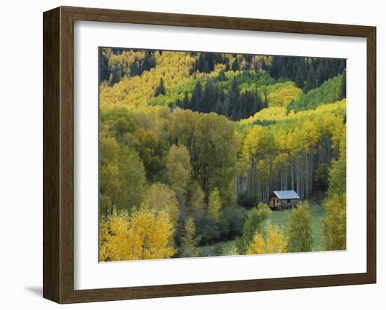 Log Cabin in Fall Colors, Dolores, San Juan National Forest, Colorado, USA-Rolf Nussbaumer-Framed Photographic Print