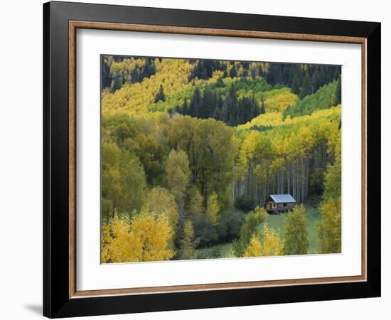 Log Cabin in Fall Colors, Dolores, San Juan National Forest, Colorado, USA-Rolf Nussbaumer-Framed Photographic Print