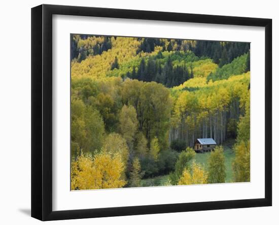 Log Cabin in Fall Colors, Dolores, San Juan National Forest, Colorado, USA-Rolf Nussbaumer-Framed Photographic Print