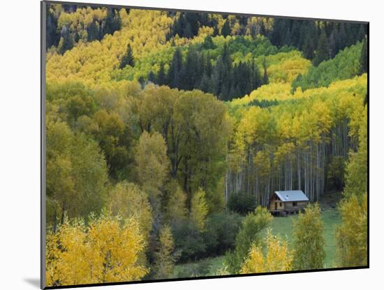 Log Cabin in Fall Colors, Dolores, San Juan National Forest, Colorado, USA-Rolf Nussbaumer-Mounted Photographic Print