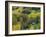 Log Cabin in Fall Colors, Dolores, San Juan National Forest, Colorado, USA-Rolf Nussbaumer-Framed Photographic Print