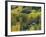 Log Cabin in Fall Colors, Dolores, San Juan National Forest, Colorado, USA-Rolf Nussbaumer-Framed Photographic Print