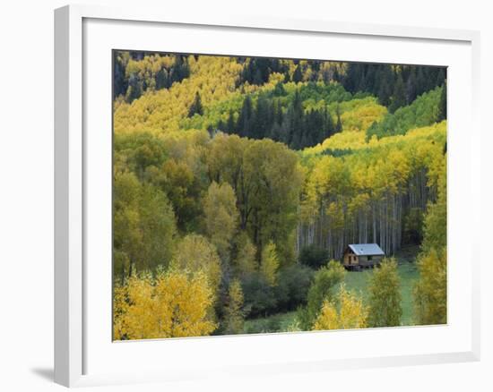 Log Cabin in Fall Colors, Dolores, San Juan National Forest, Colorado, USA-Rolf Nussbaumer-Framed Photographic Print