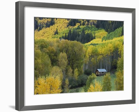 Log Cabin in Fall Colors, Dolores, San Juan National Forest, Colorado, USA-Rolf Nussbaumer-Framed Photographic Print