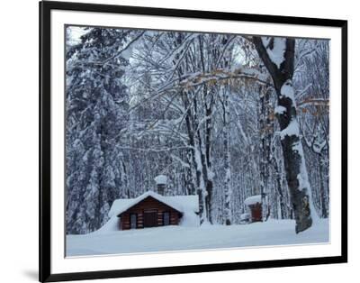 Log Cabin In Snowy Woods Chippewa County Michigan Usa Framed