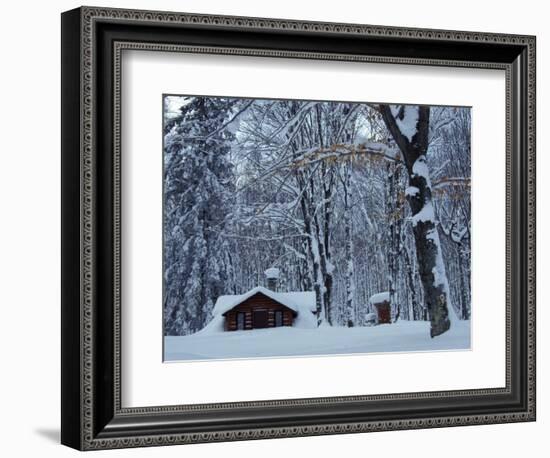 Log Cabin in Snowy Woods, Chippewa County, Michigan, USA-Claudia Adams-Framed Photographic Print