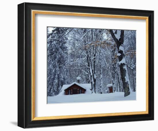 Log Cabin in Snowy Woods, Chippewa County, Michigan, USA-Claudia Adams-Framed Photographic Print