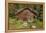 Log Cabin Kantishna, Alaska, Mnt. Denali National Park-null-Framed Premier Image Canvas