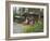 Log Cabins Nestled Among Trees Near Hatcher Pass, Palmer, Alaska, USA-Dennis Flaherty-Framed Photographic Print