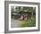 Log Cabins Nestled Among Trees Near Hatcher Pass, Palmer, Alaska, USA-Dennis Flaherty-Framed Photographic Print