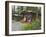 Log Cabins Nestled Among Trees Near Hatcher Pass, Palmer, Alaska, USA-Dennis Flaherty-Framed Photographic Print