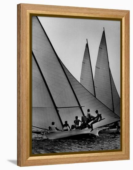 Log Canoe Sailboats Racing on the Chesapeake Bay-null-Framed Premier Image Canvas