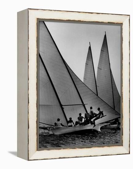 Log Canoe Sailboats Racing on the Chesapeake Bay-null-Framed Premier Image Canvas