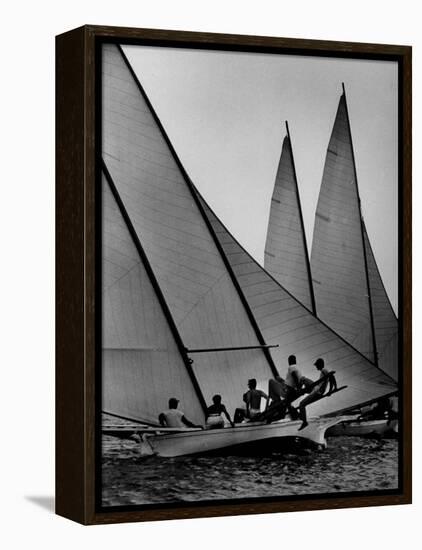 Log Canoe Sailboats Racing on the Chesapeake Bay-null-Framed Premier Image Canvas