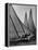 Log Canoe Sailboats Racing on the Chesapeake Bay-null-Framed Premier Image Canvas