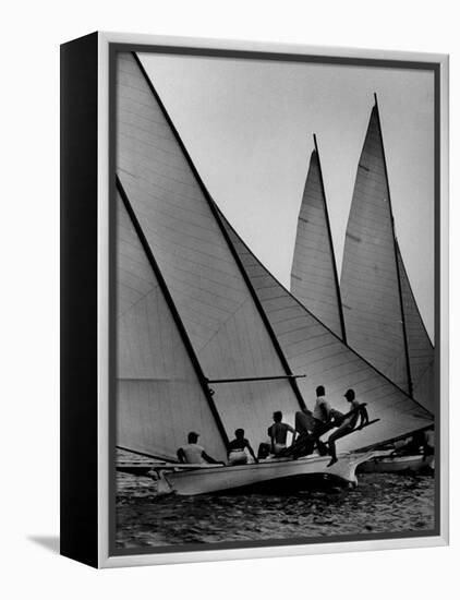 Log Canoe Sailboats Racing on the Chesapeake Bay-null-Framed Premier Image Canvas