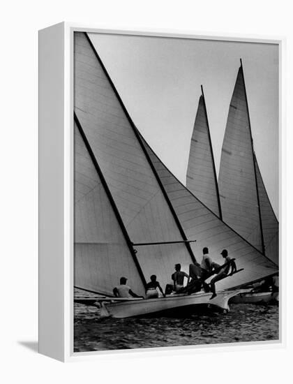 Log Canoe Sailboats Racing on the Chesapeake Bay-null-Framed Premier Image Canvas