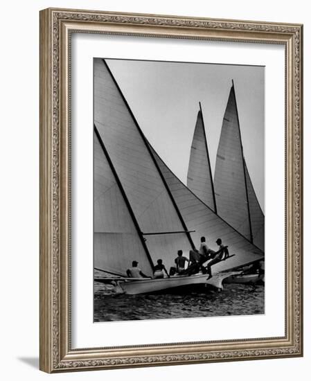 Log Canoe Sailboats Racing on the Chesapeake Bay-null-Framed Photographic Print