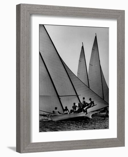 Log Canoe Sailboats Racing on the Chesapeake Bay-null-Framed Photographic Print