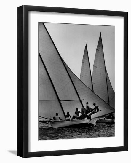 Log Canoe Sailboats Racing on the Chesapeake Bay-null-Framed Photographic Print