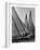 Log Canoe Sailboats Racing on the Chesapeake Bay-null-Framed Photographic Print