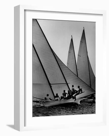 Log Canoe Sailboats Racing on the Chesapeake Bay--Framed Photographic Print