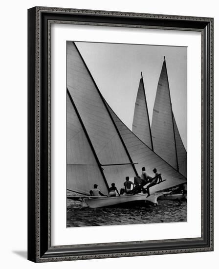 Log Canoe Sailboats Racing on the Chesapeake Bay-null-Framed Photographic Print