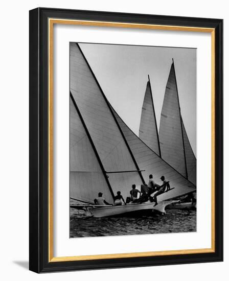 Log Canoe Sailboats Racing on the Chesapeake Bay-null-Framed Photographic Print