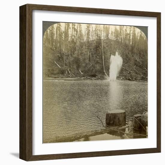 Log Flume, Oregon, Usa-Underwood & Underwood-Framed Photographic Print