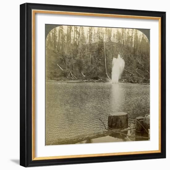 Log Flume, Oregon, Usa-Underwood & Underwood-Framed Photographic Print