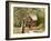 Log House Upper Canada Village-Kevin Dodds-Framed Giclee Print