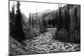 Photographic Print
