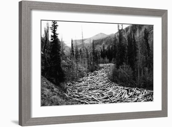 Log Jam in Stream-null-Framed Photographic Print