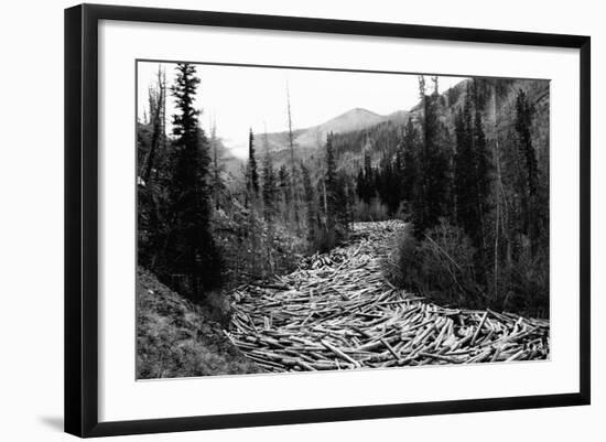 Photographic Print, , large