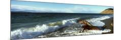Premium Photographic Print