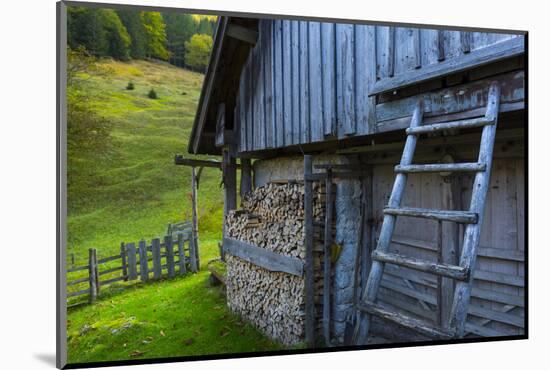 Log Piles In Alcove Outside Farm Building, Triglav National Park, Trenta Valley-Juan Carlos Munoz-Mounted Photographic Print