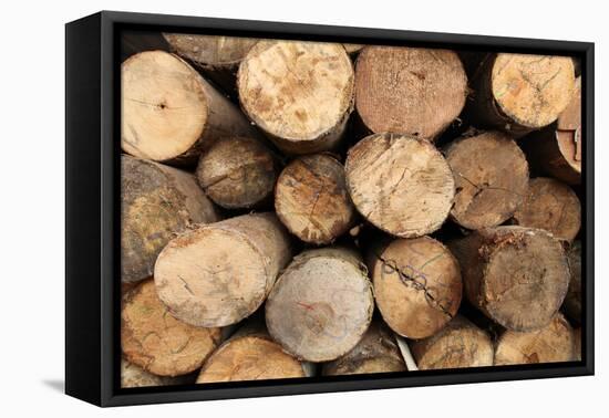 Log Wood Texture Backgrounds-photosoup-Framed Premier Image Canvas