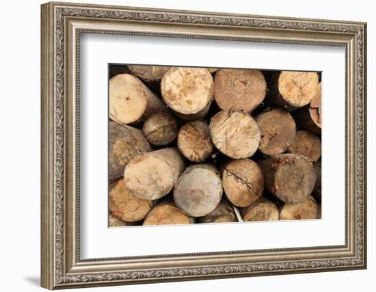 Log Wood Texture Backgrounds-photosoup-Framed Photographic Print