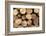 Log Wood Texture Backgrounds-photosoup-Framed Photographic Print