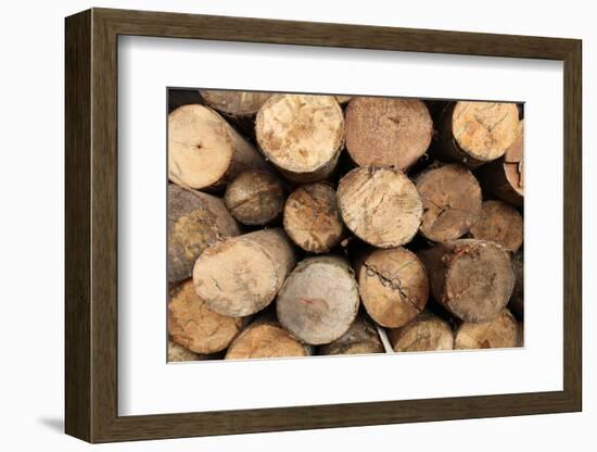 Log Wood Texture Backgrounds-photosoup-Framed Photographic Print