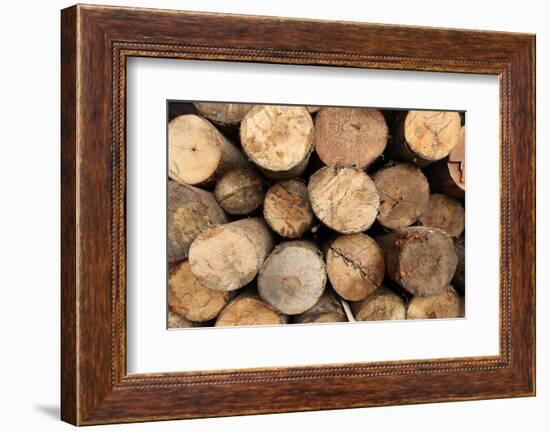 Log Wood Texture Backgrounds-photosoup-Framed Photographic Print