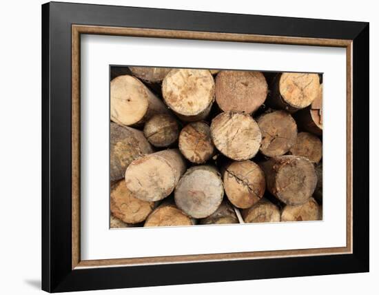 Log Wood Texture Backgrounds-photosoup-Framed Photographic Print