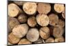 Log Wood Texture Backgrounds-photosoup-Mounted Photographic Print