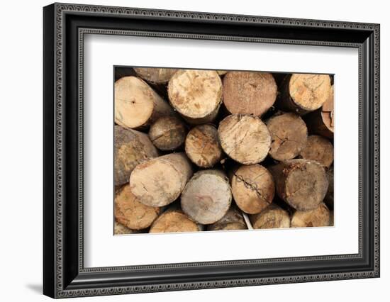 Log Wood Texture Backgrounds-photosoup-Framed Photographic Print