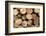 Log Wood Texture Backgrounds-photosoup-Framed Photographic Print