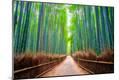 Premium Photographic Print