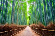 A path winds through an ancient bamboo forest in Kyoto, Japan, Asia-Logan Brown-Premier Image Canvas