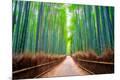 Photographic Print