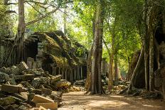 Ancient ruins of Ta Prohm, Angkor Nat'l Park, UNESCO World Heritage, Siem Reap, Cambodia-Logan Brown-Photographic Print