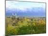 Logan City & Cache Valley at Sunset, Utah, USA-Scott T^ Smith-Mounted Photographic Print